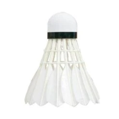 Talbot Torro Hit 750 Feather Shuttlecock (Pack Of 12) (White)