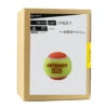 Artengo Tennis Balls TB110 X 60 - Orange