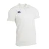 Canterbury Mens Short Sleeve Cricket Shirt (Cream)